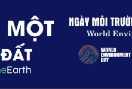 HƯỞNG ỨNG NGÀY MÔI TRƯỜNG THẾ GIỚI, THÁNG HÀNH ĐỘNG VÌ MÔI TRƯỜNG