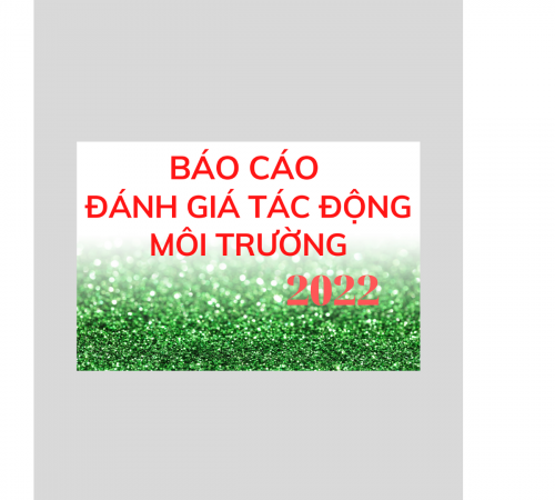 Báo cáo đánh giá tác động môi trường (ĐTM)- 2022
