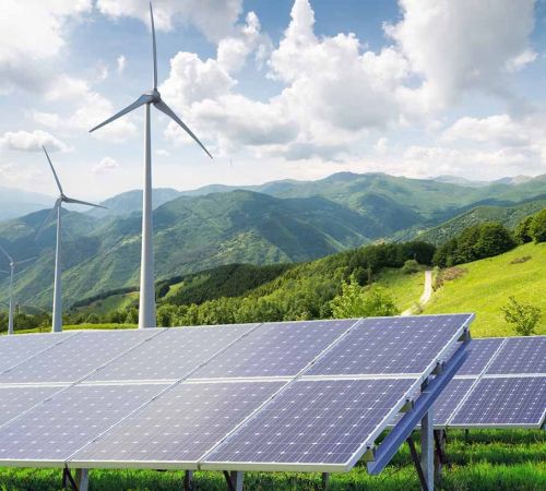 GIẢI PHÁP VÀ HÀNH ĐỘNG NHẰM PHỤC HỒI XANH SAU COVID-19