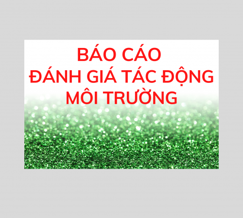 BÁO CÁO ĐÁNH GIÁ TÁC ĐỘNG MÔI TRƯỜNG (ĐTM)