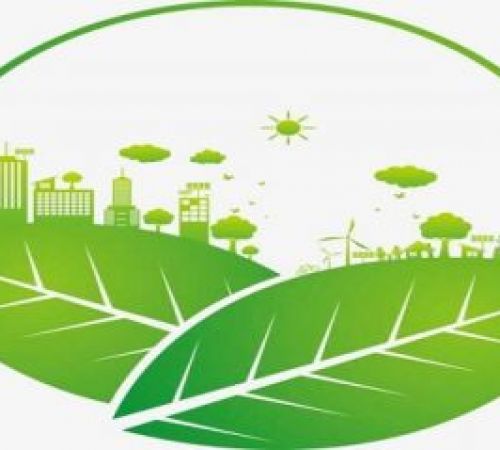 HOẠT ĐỘNG DỊCH VỤ