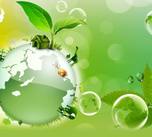 DỊCH VỤ MÔI TRƯỜNG