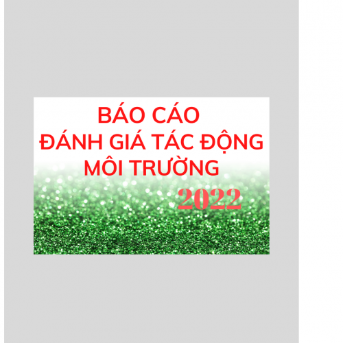 Báo cáo đánh giá tác động môi trường (ĐTM)- 2022