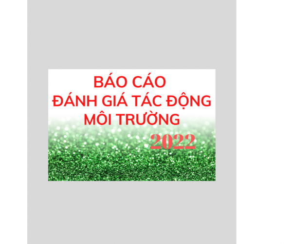 Báo cáo đánh giá tác động môi trường (ĐTM)- 2022