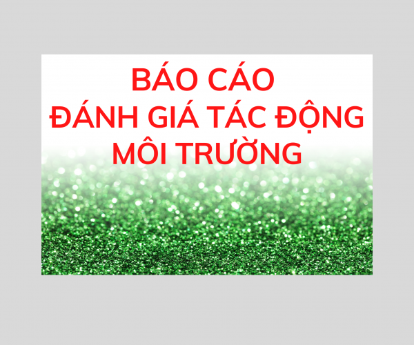 BÁO CÁO ĐÁNH GIÁ TÁC ĐỘNG MÔI TRƯỜNG (ĐTM)
