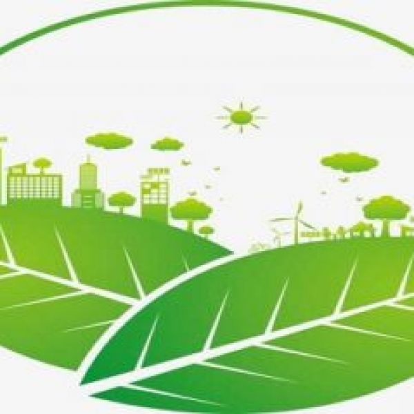 HOẠT ĐỘNG DỊCH VỤ