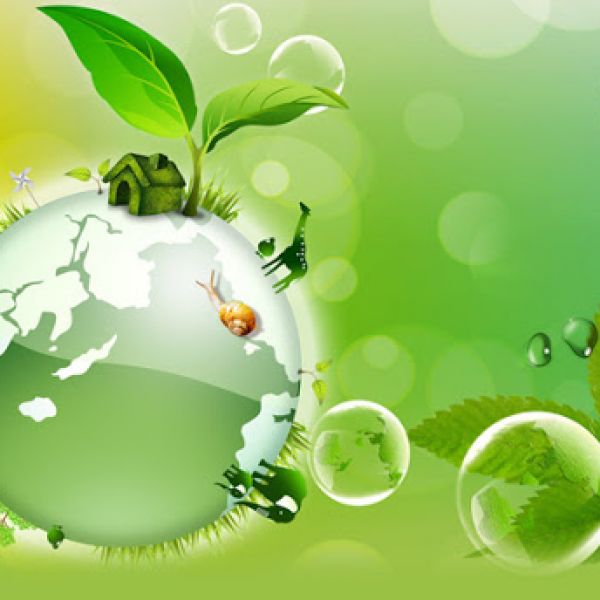 DỊCH VỤ MÔI TRƯỜNG