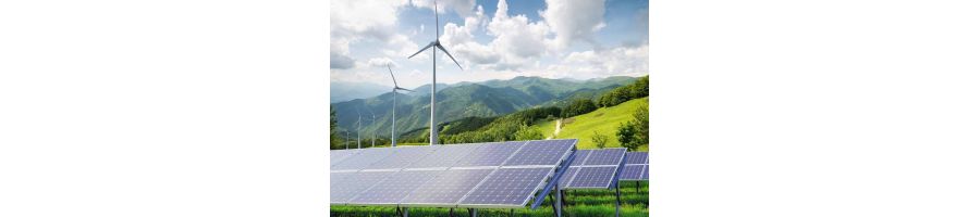 GIẢI PHÁP VÀ HÀNH ĐỘNG NHẰM PHỤC HỒI XANH SAU COVID-19