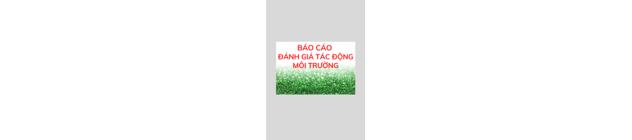 BÁO CÁO ĐÁNH GIÁ TÁC ĐỘNG MÔI TRƯỜNG (ĐTM)