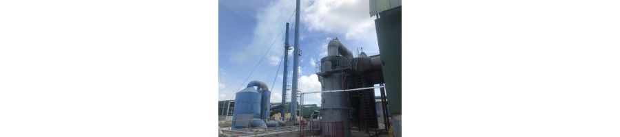 DỰ ÁN TẠI CÔNG TY PEDACO