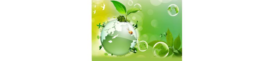 DỊCH VỤ MÔI TRƯỜNG